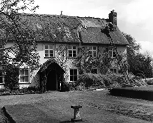 Thatching at Pinn Court Farm, Pinhoe, Exeter, Devon