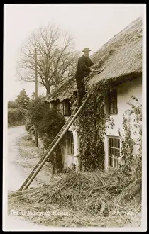 Thatching Prints: Thatching at Porlock