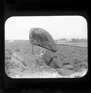 Oaks Prints: The, Hanging, Stone, Charnwood