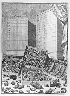 Drawer Prints: Theatre des Merveilles de la Nature
