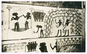 Vineyard Prints: Thebes, Upper Egypt, North Africa - Tomb of Nakht