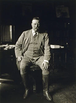 Theodore Collection: Theodore Roosevelt in his library at Oyster Bay N. Y