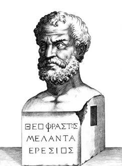 Theophrastus Prints: Theophrastus bust