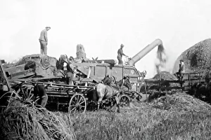 Theshing machine in Manitoba, Canada, Victorian period