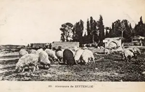 Graveyard Prints: Thessaloniki, Greece - Zeitenlik