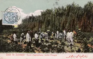 Potager Prints: Thessaloniki - Vegetable Garden at the Agriculture School