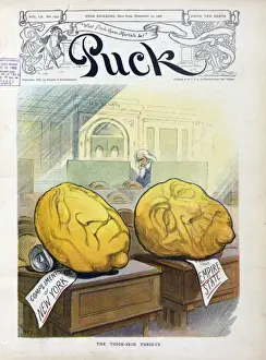 The thick-skin variety