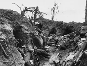 Thiepval Wood 1916