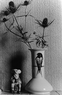 Images Dated 16th June 2011: Thistle Arrangement
