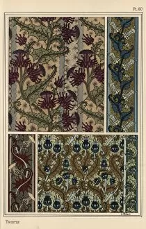 Andtheirapplicationtoornament Collection: Thistle in art nouveau patterns