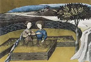 THOMAS of Cantimpr頨1201-1276). Codex Granatensis