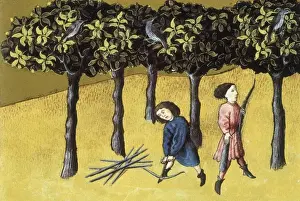 THOMAS of Cantimpr頨1201-1276). Codex Granatensis