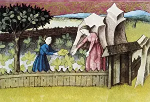THOMAS of Cantimpr頨1201-1276). Codex Granatensis