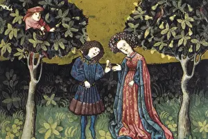 THOMAS of Cantimpr頨1201-1276). Codex Granatensis