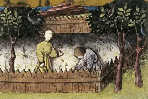 THOMAS of Cantimpr頨1201-1276). Codex Granatensis