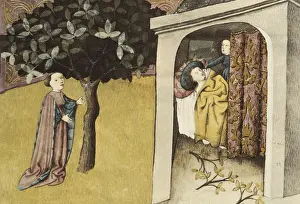 THOMAS of Cantimpr頨1201-1276). Codex Granatensis