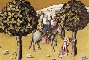 THOMAS of Cantimpr頨1201-1276). Codex Granatensis