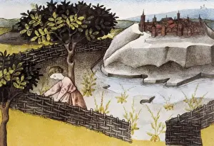 THOMAS of Cantimpr頨1201-1276). Codex Granatensis