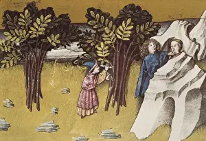 THOMAS of Cantimpr頨1201-1276). Codex Granatensis