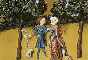 THOMAS of Cantimpr頨1201-1276). Codex Granatensis