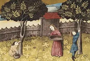 THOMAS of Cantimpr頨1201-1276). Codex Granatensis