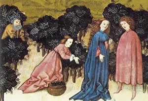 THOMAS of Cantimpr頨1201-1276). Codex Granatensis
