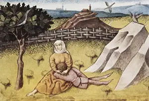 THOMAS of Cantimpr頨1201-1276). Codex Granatensis