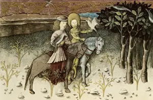 THOMAS of Cantimpr頨1201-1276). Codex Granatensis
