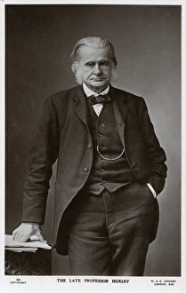 Darwin Gallery: Thomas Henry Huxley, English scientist