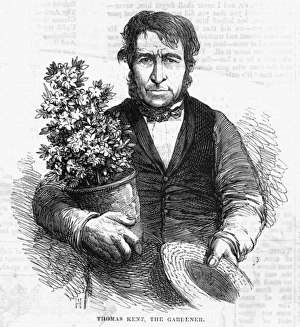 Thomas Kent, gardener Thomas Kent, gardener