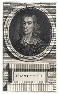Thomas Willis / Anon Oval