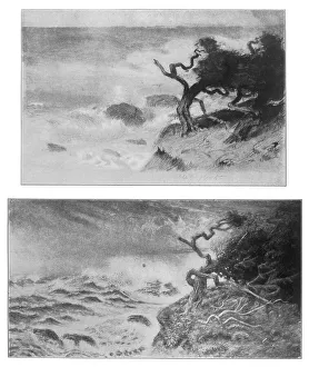 Claims Prints: THOMPSON/GIFFARD 1