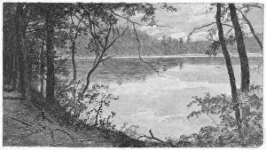 Years Gallery: Thoreaus Pond