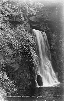 Waterfall Prints: Thornton Force Waterfall