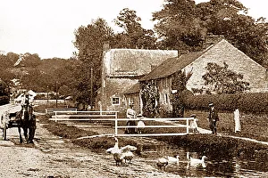 Thornton Le Dale - Maltongate