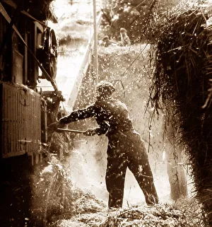 Harvest Prints: Threshing in the 1930s