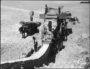 Images Dated 15th October 2007: Threshing 1930S