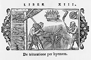 Barley Prints: Threshing Barley 1555