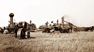 Alberta Prints: Threshing on the Canadian Prairies, early 1900s