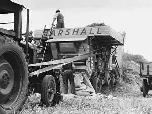 Thresher Prints: Threshing Corn
