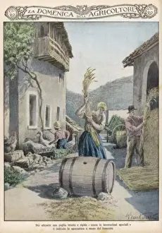 Farm Yard Prints: Threshing, Italy