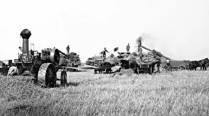 Threshing on the Prairies, Canada
