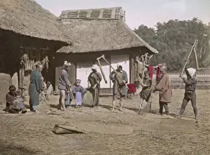 Threshing rice, Japan