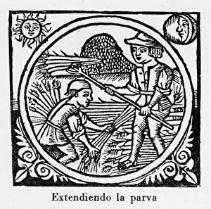 Threshing, Spain 1511 -2
