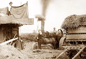 Threshing with a traction engine