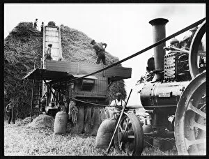 Mounted Collection: Threshing Wheat