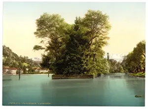 Thun Prints: Thun, Lake of, Aare-Insel, Bernese Oberland, Switzerland