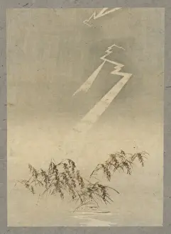 Thunder Prints: Thunder and lightning over rice grain