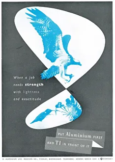 Aluminium Prints: T.I. Aluminium