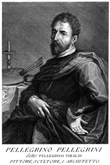 Pellegrini Prints: Tibaldi Pellegrino